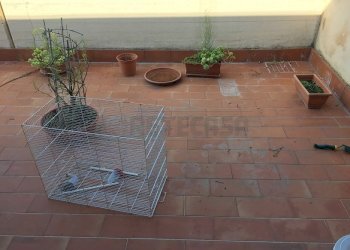IMG_1521.JPG - Apartment Via Gramsci, San Miniato - photo 10