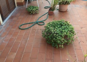IMG_1522.JPG - Apartment Via Gramsci, San Miniato - photo 11