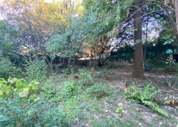 IMG-20220831-WA0012.jpg - Villa Via Borgo Giannotti, Lucca - foto 10