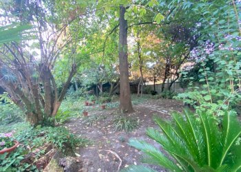 IMG-20220831-WA0015.jpg - Villa Via Borgo Giannotti, Lucca - foto 11