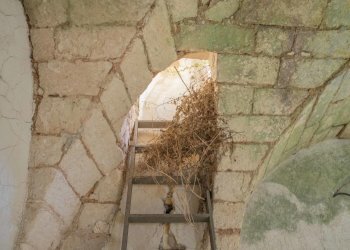 16.JPG - Casa indipendente Via Alfonso Giovine 14, Ostuni - foto 16