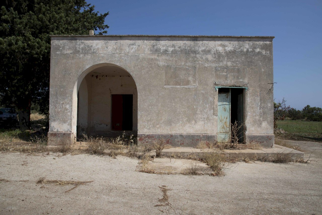 3.JPG - Rustico Contrada San Francesco, Carovigno - foto 3