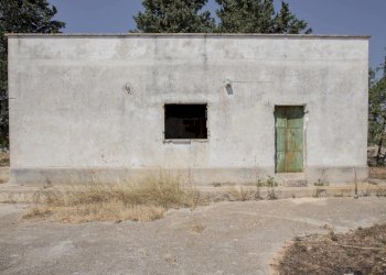 5.JPG - Rustico Contrada San Francesco, Carovigno - foto 5