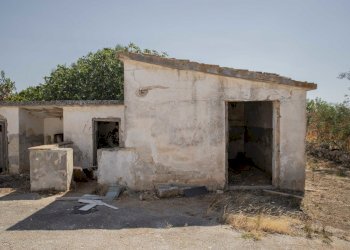 8.JPG - Rustico Contrada San Francesco, Carovigno - foto 8