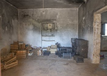 13.JPG - Rustico Contrada San Francesco, Carovigno - foto 13