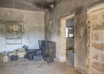 14.JPG - Rustico Contrada San Francesco, Carovigno - foto 14