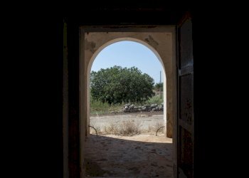 17.JPG - Rustico Contrada San Francesco, Carovigno - foto 17