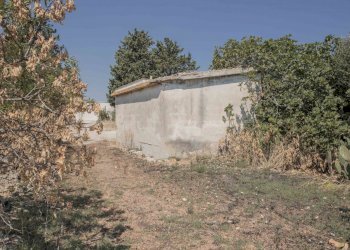 27.JPG - Rustico Contrada San Francesco, Carovigno - foto 27