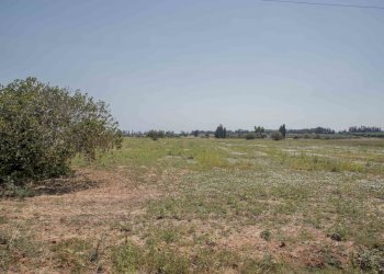 28.JPG - Rustico Contrada San Francesco, Carovigno - foto 28