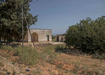 29.JPG - Rustico Contrada San Francesco, Carovigno - foto 29