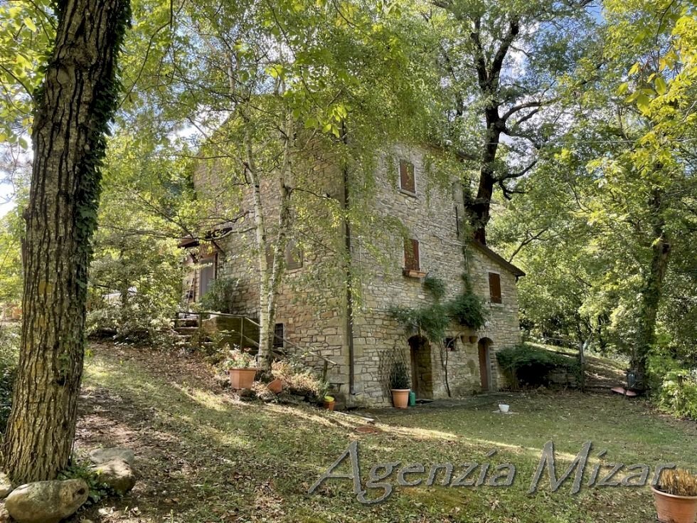 Terreno agricolo Castel del Rio - foto 3