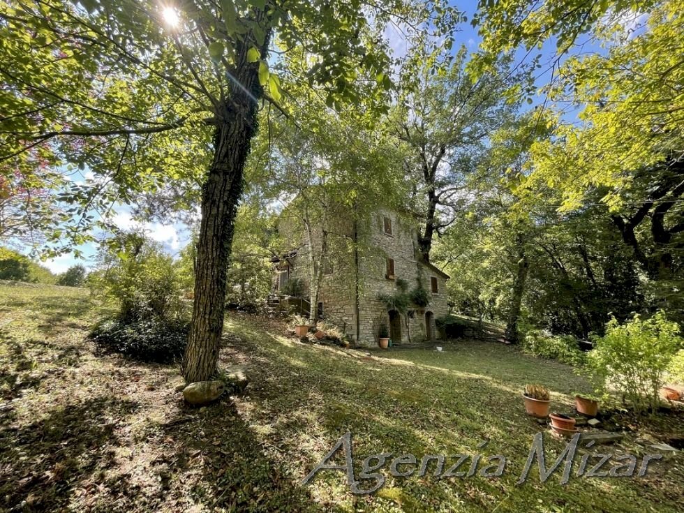 Terreno agricolo Castel del Rio - foto 2