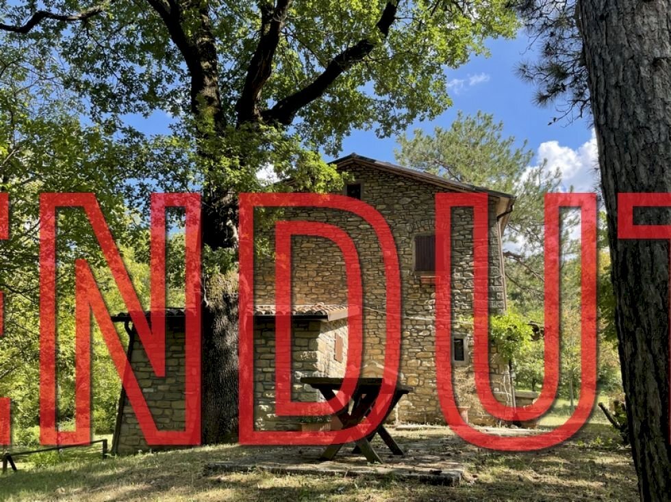 Terreno agricolo Castel del Rio - foto 1