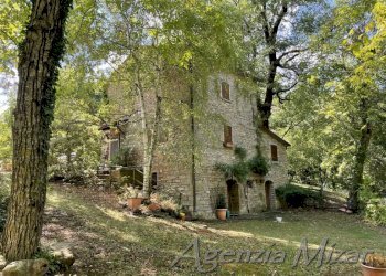 Agricultural land Castel del Rio - photo 3