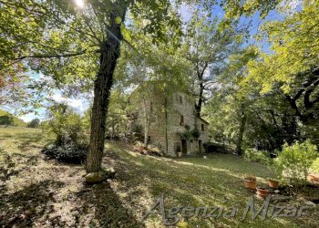 Agricultural land Castel del Rio - photo 2