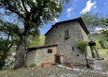 Agricultural land Castel del Rio - photo 5