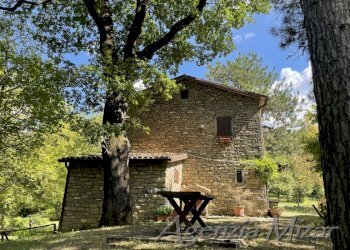 Agricultural land Castel del Rio - photo 6
