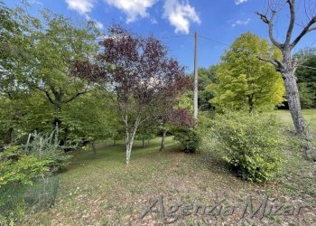 Agricultural land Castel del Rio - photo 7