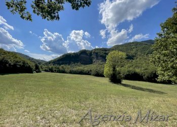 Agricultural land Castel del Rio - photo 21
