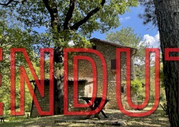 Agricultural land Castel del Rio - photo 1