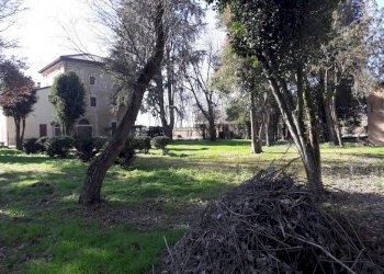 parco - Dimora Storica via Chiesa, Mordano - foto 5