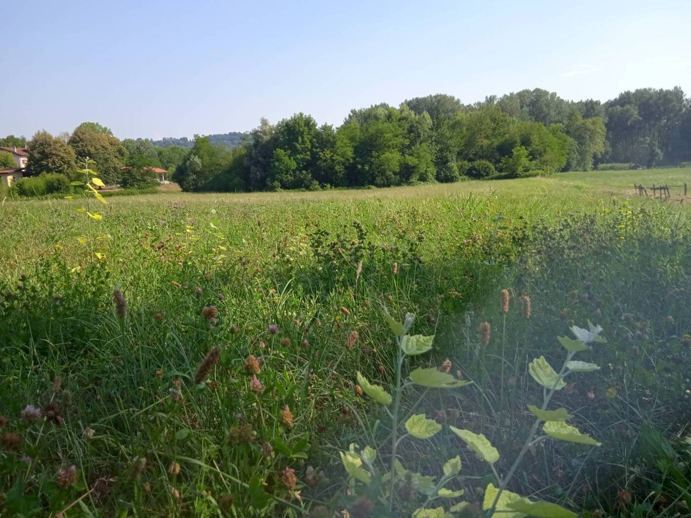 Terreno agricolo via Mirasole, Varese - foto 1