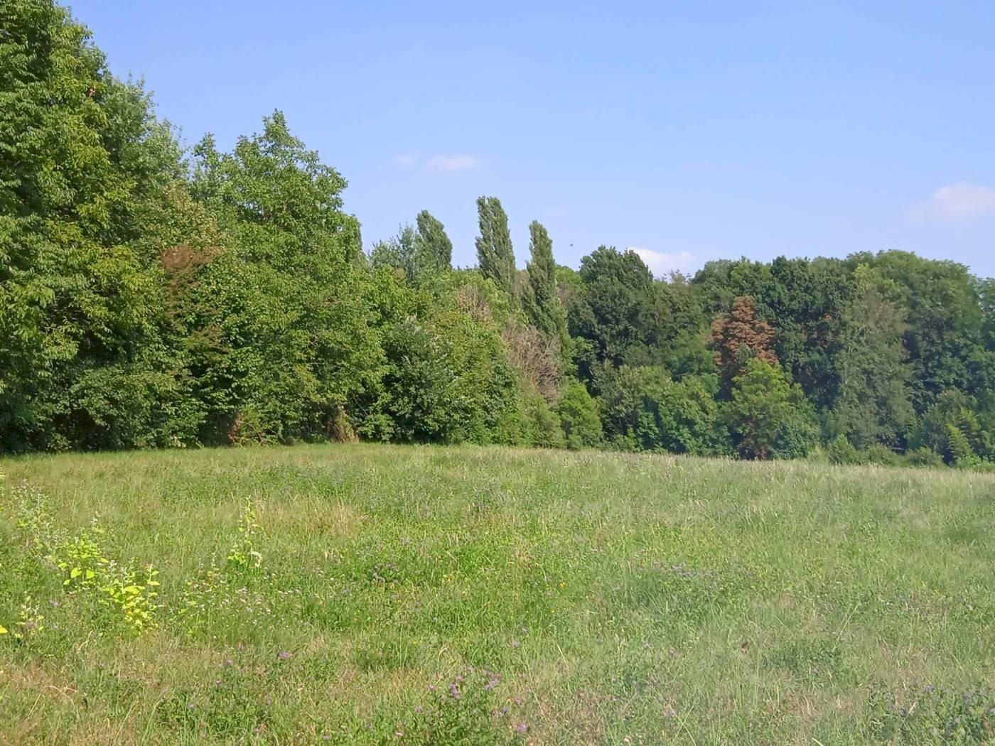 Terreno agricolo via Mirasole, Varese - foto 2