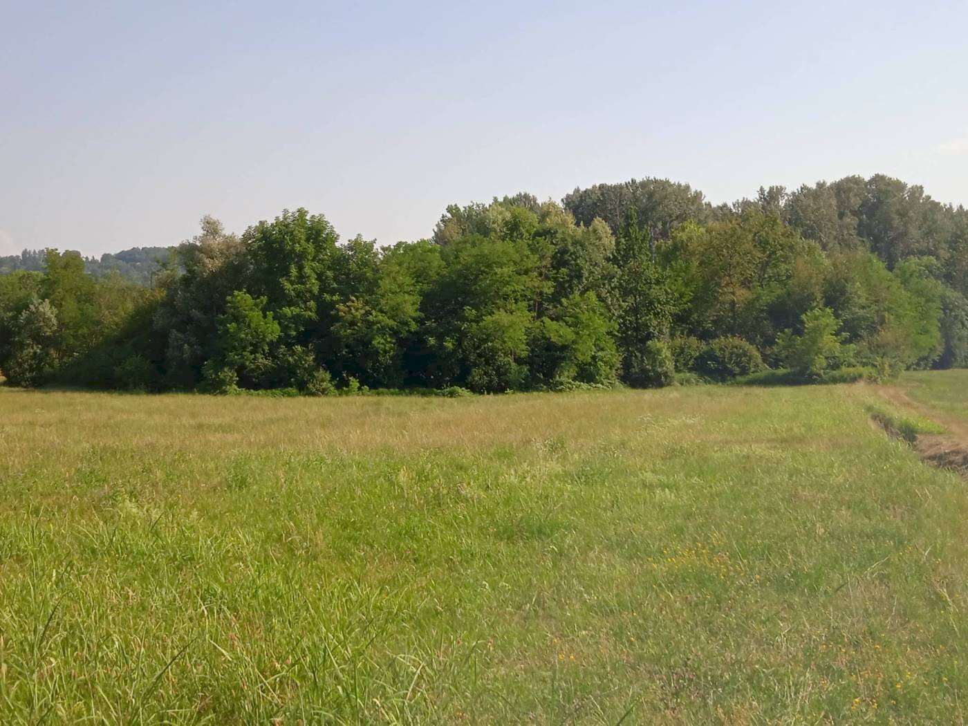 Terreno agricolo via Mirasole, Varese - foto 3