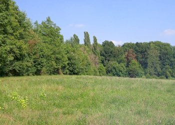 Terreno agricolo via Mirasole, Varese - foto 2
