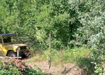 Terreno agricolo via Mirasole, Varese - foto 9