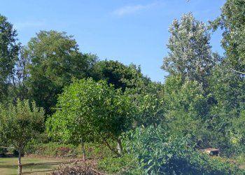 Terreno agricolo via Mirasole, Varese - foto 10