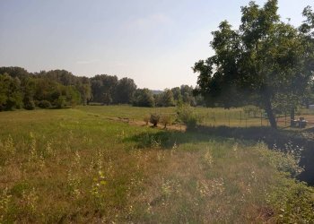 Terreno agricolo via Mirasole, Varese - foto 11