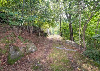 Giardino - Casa indipendente Località Barrale, 1, Luserna San Giovanni - foto 31