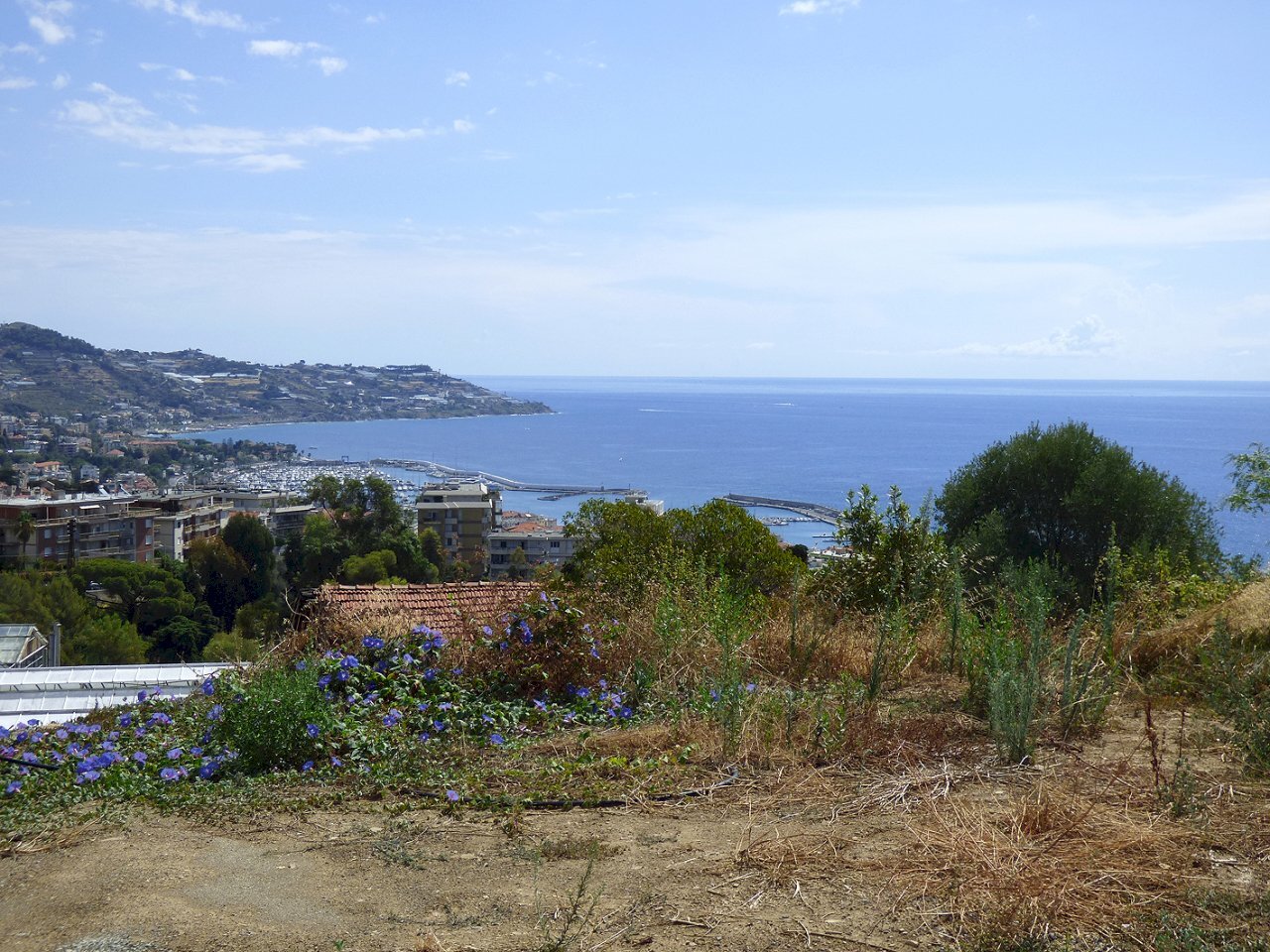 P1080283.JPG - Villa Sanremo - foto 1