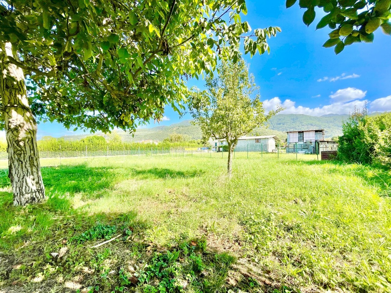 IMG_7553.jpg - Villa Pietrasanta - foto 2