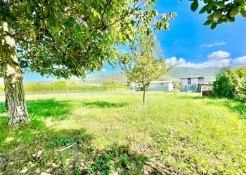 IMG_7553.jpg - Villa Pietrasanta - foto 2