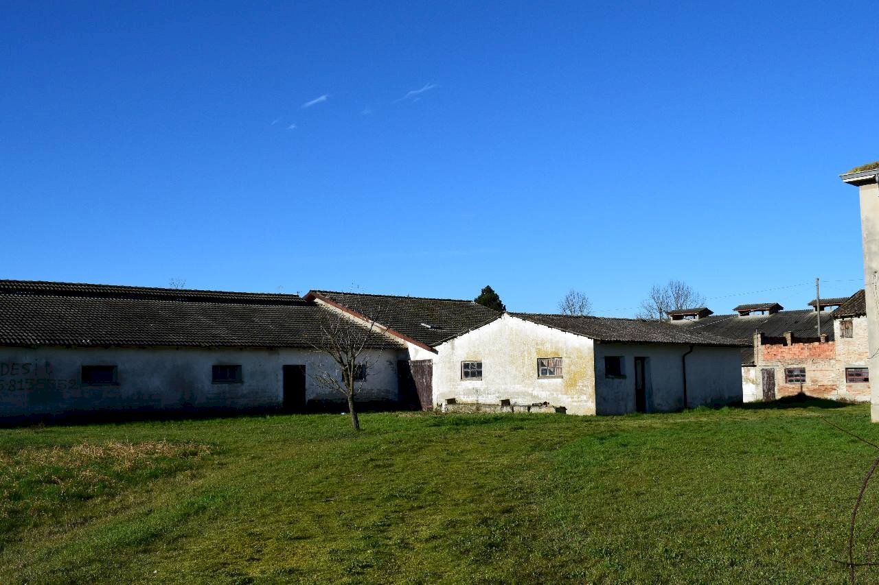 Capannone Campegine - foto 3