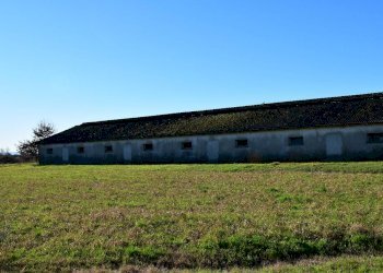 Capannone Campegine - foto 4