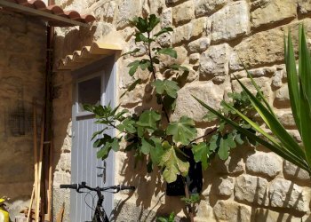 Casa indipendente VIA SEMPIONE, Scicli - foto 5