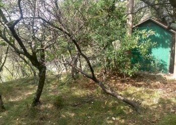 IMG_20180922_110106537_HDR.jpg - Terreno agricolo Via Marcianella, Luni - foto 5