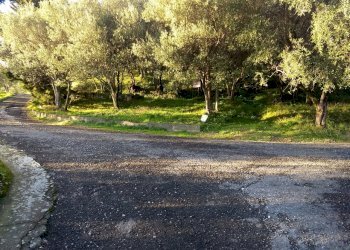 IMG_20200218_164901954.jpg - Terreno agricolo Via Marcianella, Luni - foto 7