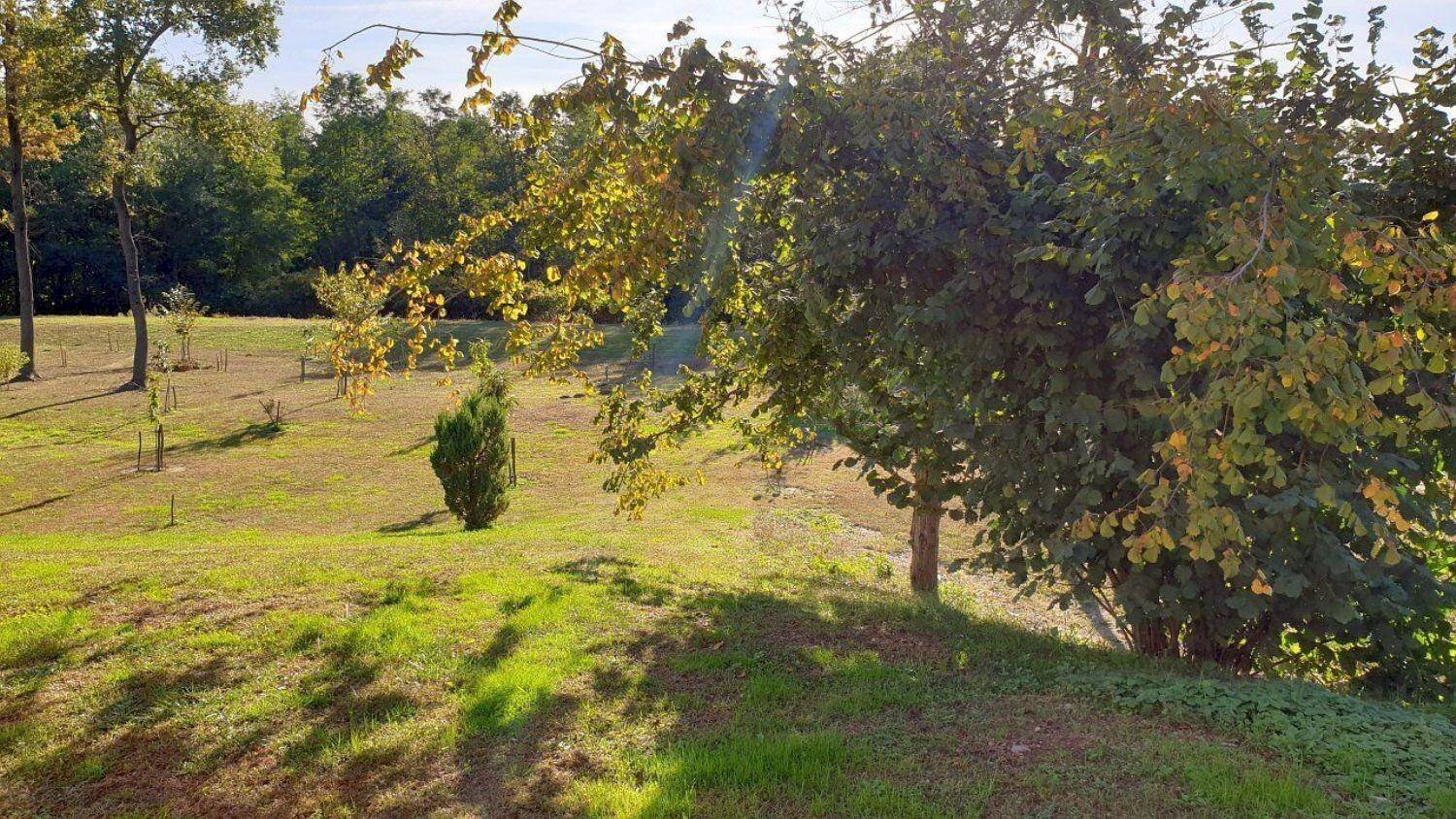 Rustico via Molino della Resiga s.n.c, Fontaneto d'Agogna - foto 1