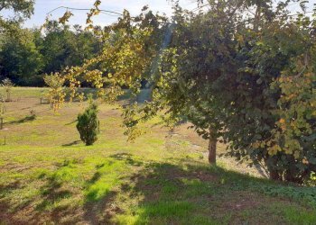 Rustico via Molino della Resiga s.n.c, Fontaneto d'Agogna - foto 1