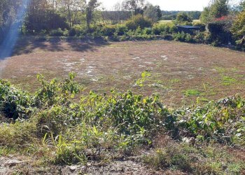 Rustico via Molino della Resiga s.n.c, Fontaneto d'Agogna - foto 3