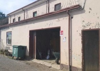 FOTO 3.jpg - Rustico via Selve, Savignano sul Rubicone - foto 4