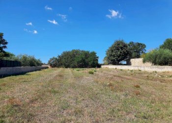 6.jpg - Rustico Modica - foto 5