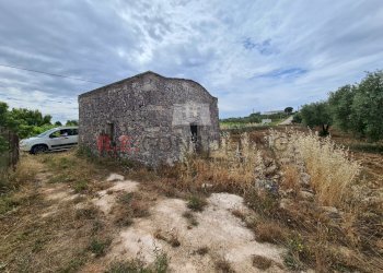 20220609_102251.jpg - Baita Via ospedale, Martina Franca - photo 4