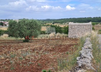 20220609_102013.jpg - Baita Via ospedale, Martina Franca - photo 5