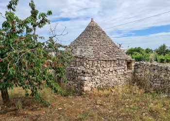20220609_102319.jpg - Baita Via ospedale, Martina Franca - photo 6