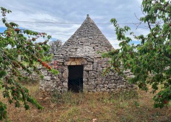 20220609_102330.jpg - Baita Via ospedale, Martina Franca - photo 1